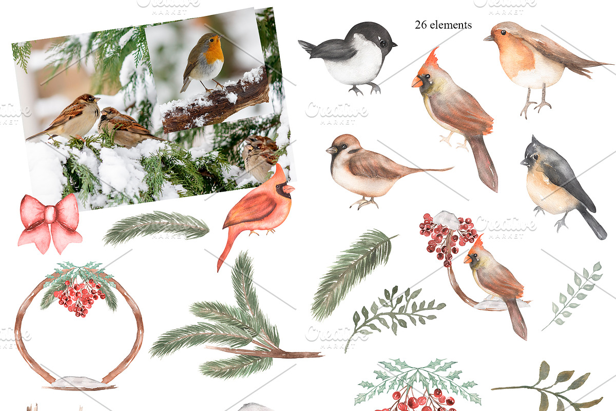 Watercolor Winter Birds Set, an Animal Illustration by MayaNavits (Photo 2 of 5)