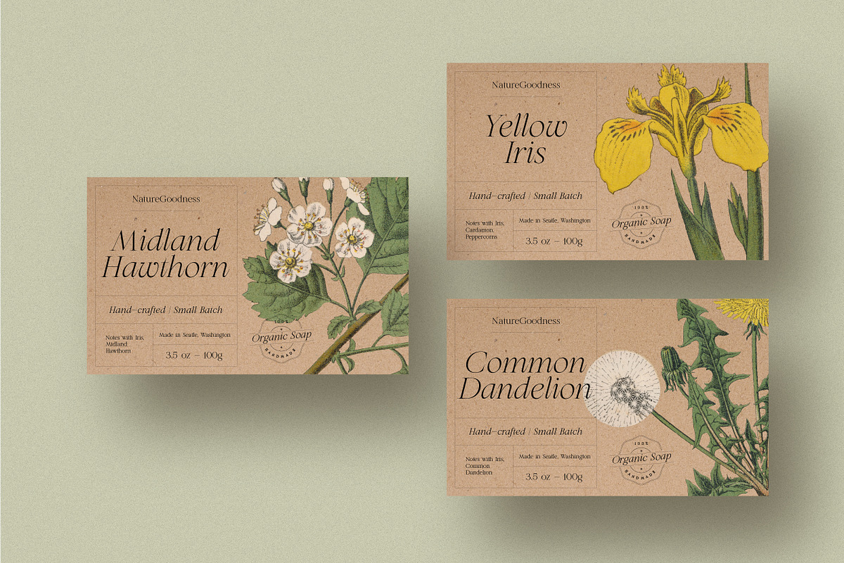 Olive and Figs - Regal Classic Serif, a Serif Font by Harmonais Visual (Photo 11 of 12)