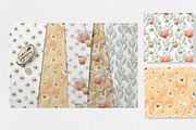Chamomile watercolor clip art, a Decorative Illustration by SvetLana (Thumbnail 13 of 13)
