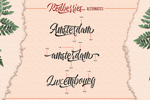 Redberries Script