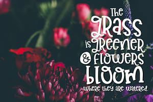 Garden Berries Handwritten Font