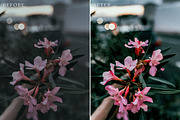Floral Lightroom Presets, a Layer Style Add-On by Rapita Photography© (Thumbnail 2 of 11)