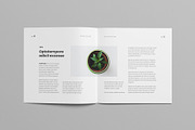Minimal Square Catalog, a Brochure Template by Meenom Templates (Thumbnail 8 of 14)