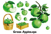 Fruits and berries collection_part 1, an Illustration by ZotovShop (Thumbnail 4 of 20)