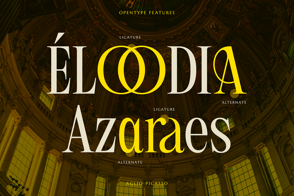 Aglio Picasso | Aesthetic Vintage, a Serif Font by Jolicia Type (Photo 9 of 10)