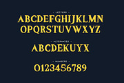 Vestige Typeface, a Serif Font by Tugcu Design Co. (Thumbnail 2 of 4)