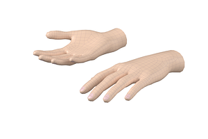 Female Hand Base Mesh 03