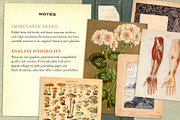 Dark Academia: 300 Vintage Ephemera, an Object Graphic by The Object Atlas (Thumbnail 4 of 9)