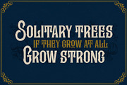Kingstown parlour, a Slab Serif Font by Damarletter (Thumbnail 8 of 8)