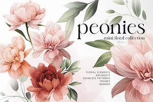 Peonies - floral collection, an Illustration by ollalya