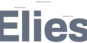 Trada Sans, a Sans Serif Font by Hoftype (Thumbnail 8 of 14)