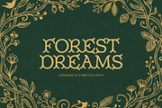 Forest Dreams | Whimsical Font, a Serif Font by gafaroff studio (Thumbnail 1 of 7)