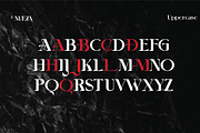 AE Maeza-Modern Serif, a Serif Font by Portion.Labs (Thumbnail 9 of 10)