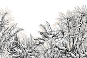 Tropical black& white plants, a Decorative Illustration by Jeanna Draw (Thumbnail 4 of 17)
