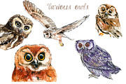 Watercolor Owls Bundle - 53 Owls, an Animal Illustration by YesFoxy (Thumbnail 11 of 11)