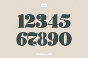 Ridie - Display Font, a Serif Font by dealitastudio (Thumbnail 7 of 7)