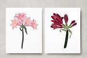 Vintage Botanica II, an Object Graphic by Mii Lab (Thumbnail 9 of 21)