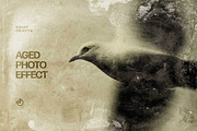 Antique Photo Effect, a Layer Style Add-On by Design Squad (Thumbnail 1 of 5)
