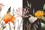 Tiny wildflowers set, a Decorative Illustration by marie dricot (Thumbnail 14 of 15)