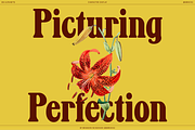 BN Alphabyte, a Serif Font by Bnick (Thumbnail 3 of 14)