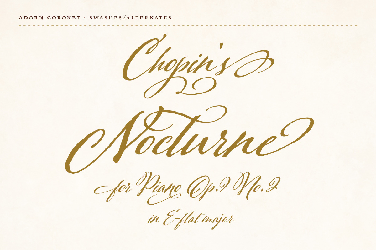 Adorn Collection, a Sans Serif Font by Laura Worthington (Photo 9 of 62)