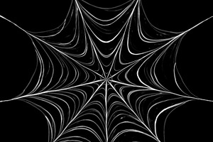 Spider Web Backgrounds