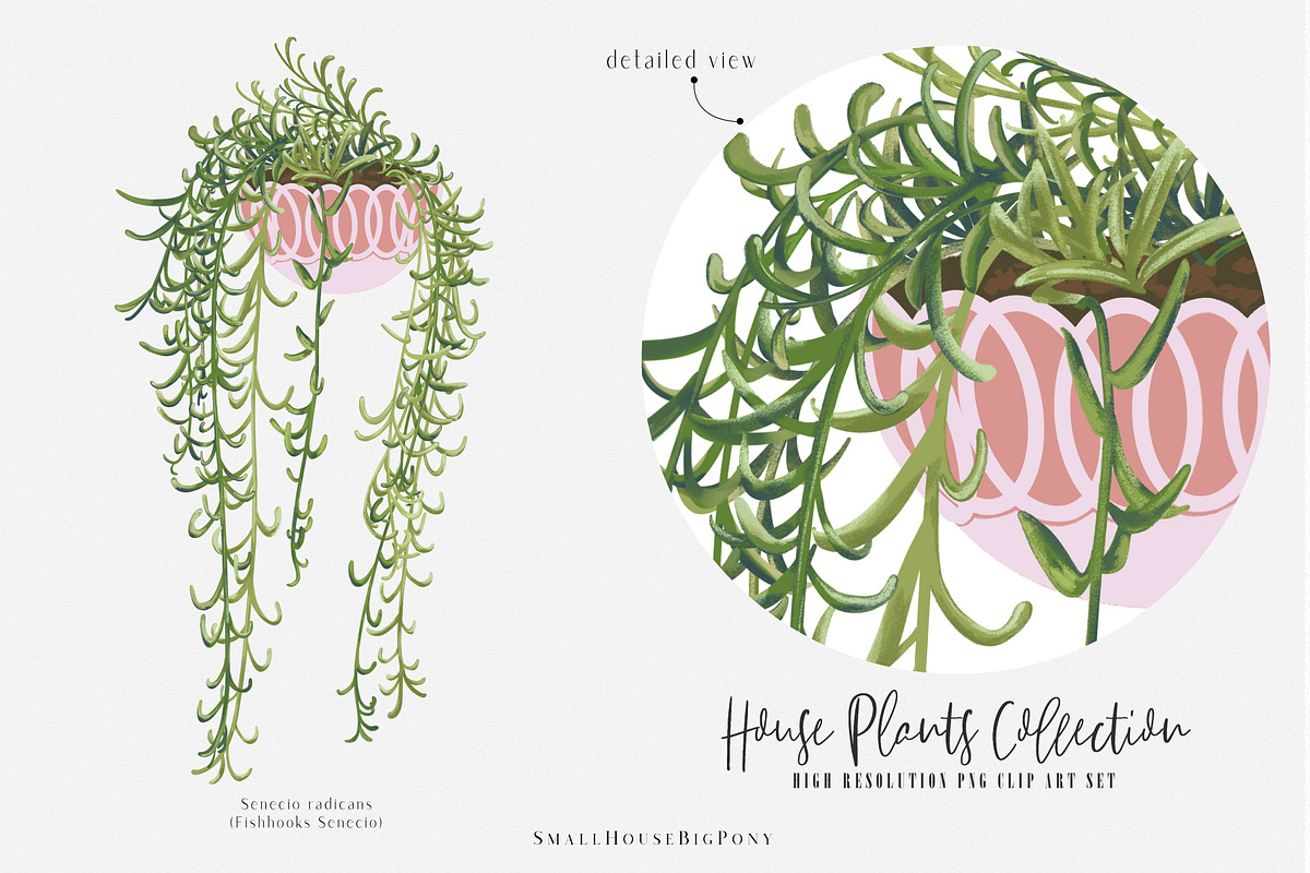 House Plants Collection Set II, a Graphic by SmallHouseBigPony (Photo 14 of 21)