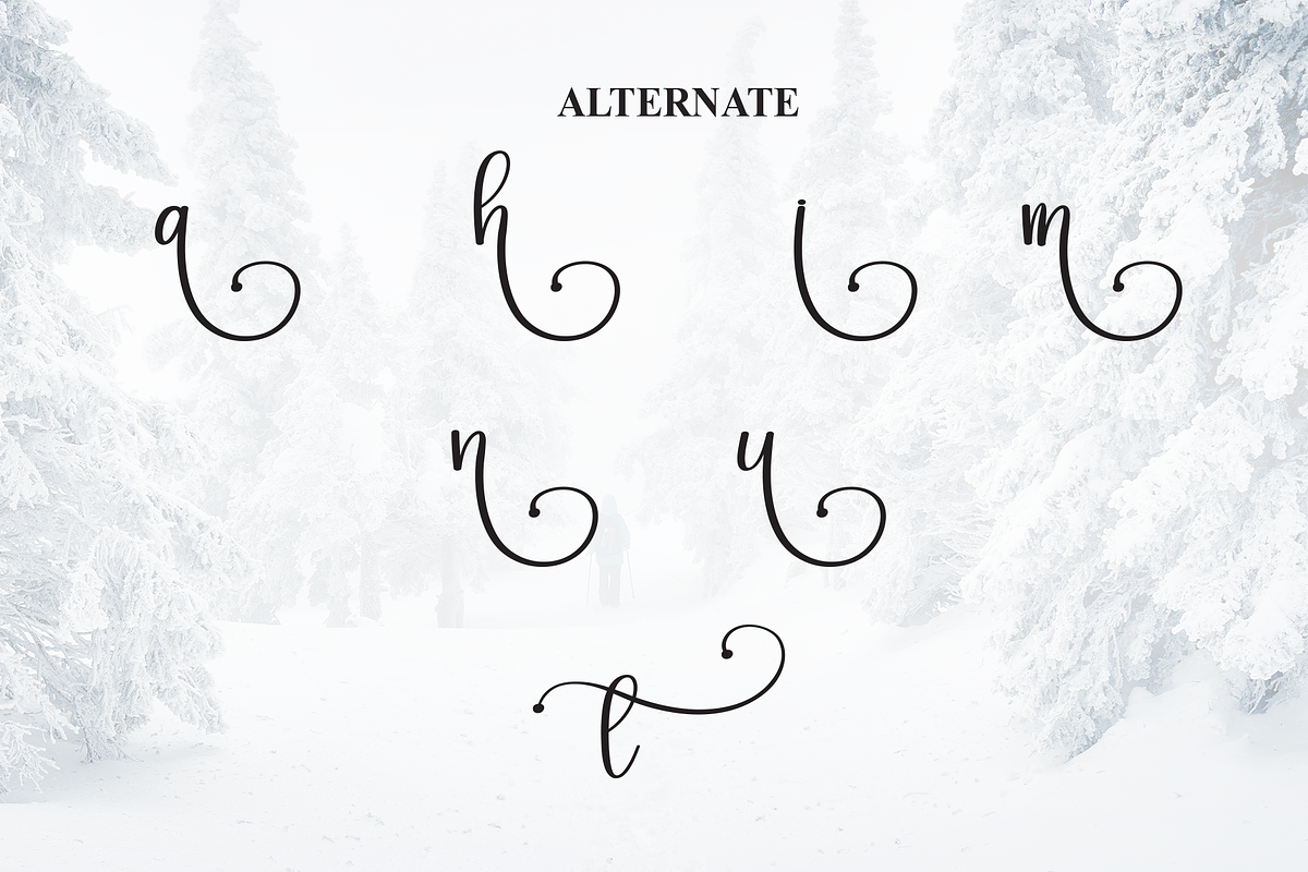 Wintersnow | Script Font, a Handwritten Font by Scratchones (Photo 8 of 9)