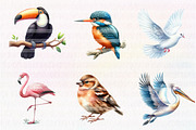 Cute Birds Clipart, an Illustration by CreationArt (Thumbnail 5 of 5)