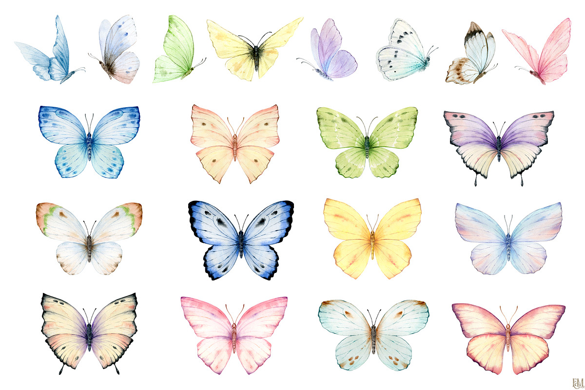 Watercolor Butterflies and Flowers, a Decorative Illustration by Elena Medvedeva (Photo 2 of 12)