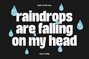 TAN - KULTURE, a Font by TanType (Thumbnail 4 of 18)
