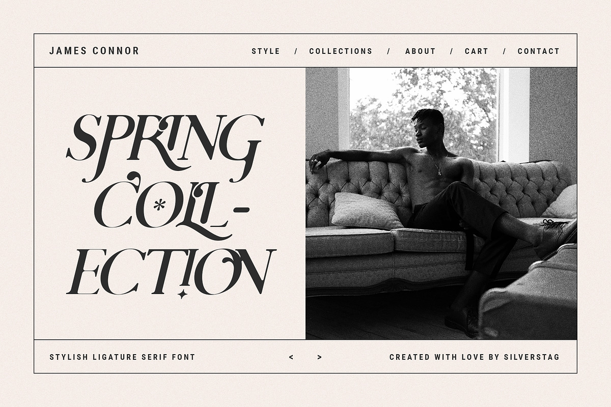Charles - Ligature Serif Font Family, a Serif Font by SilverStag Type Foundry (Photo 13 of 32)