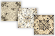 Gothic Lace Spiderweb Digital Paper, a Pattern Graphic by FloridPrintables (Thumbnail 5 of 6)