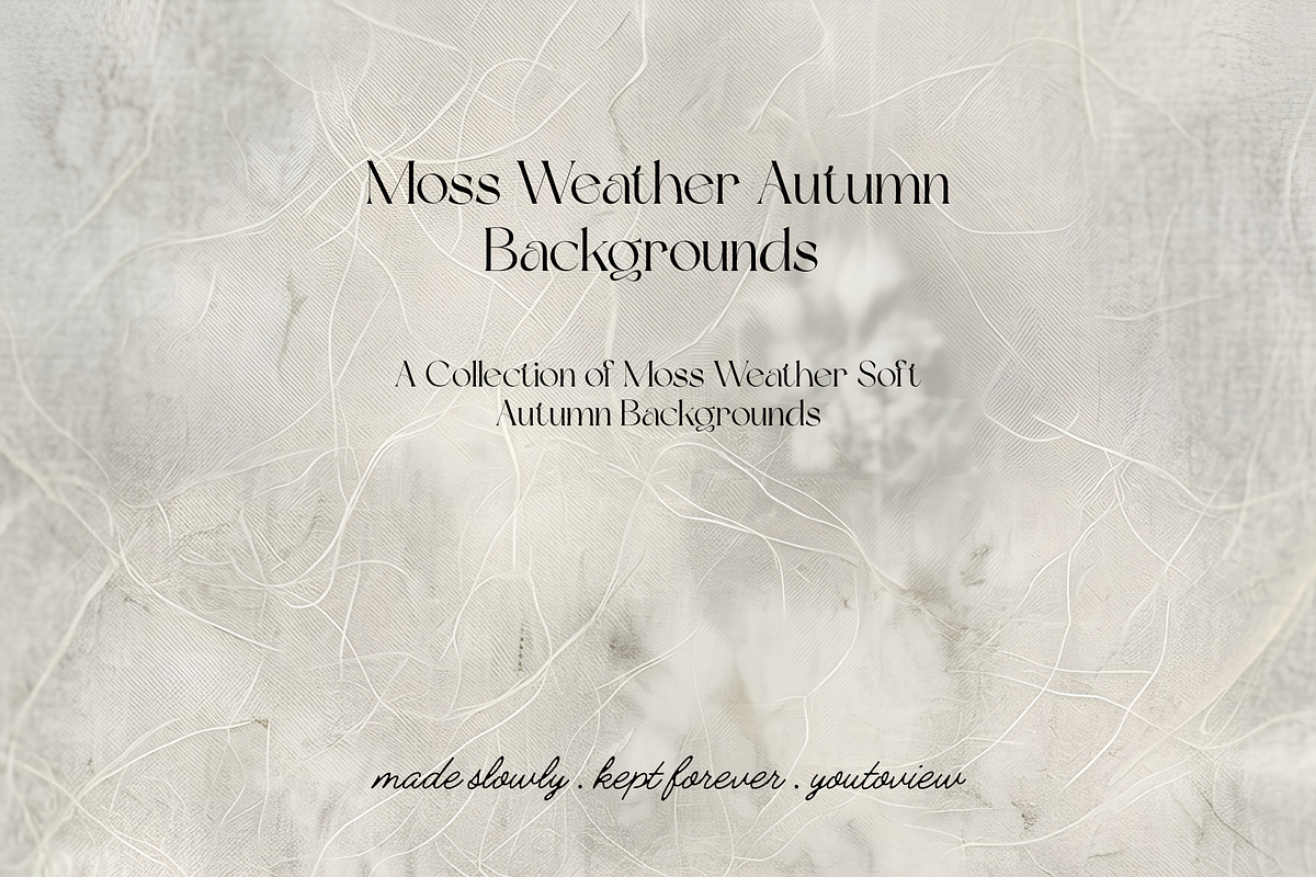 Moss Weather Soft Autumn Backgrounds, a Background Graphic by youtoview (Photo 11 of 11)