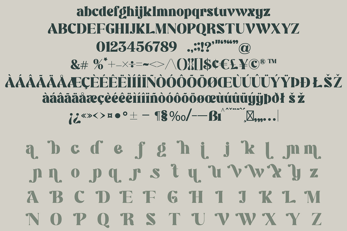 Kanilia | Modern Branding Font, a Serif Font by MchCrafter (Photo 12 of 12)