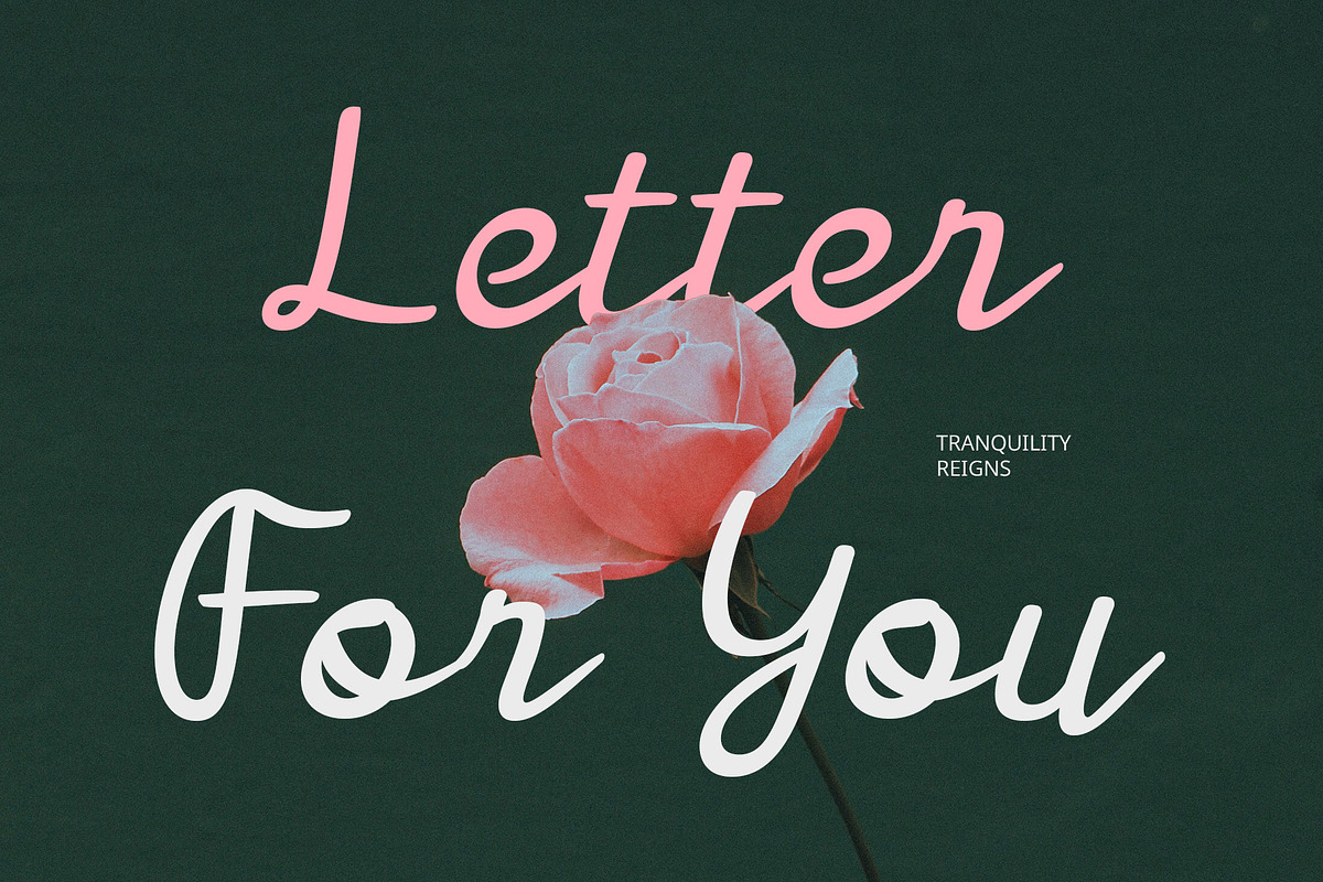 CS Abiola – Script Font, a Script Font by Craft Supply Co. (Photo 5 of 8)