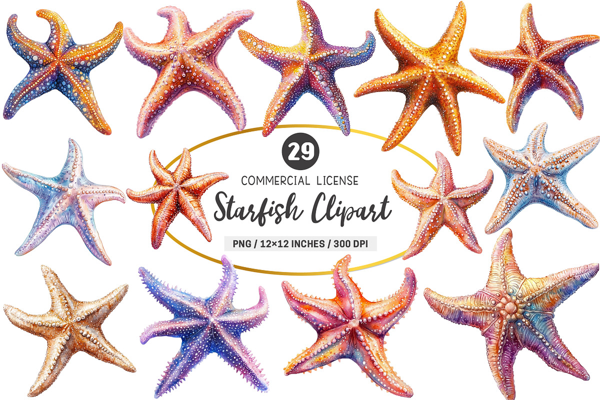 Starfish Watercolor Clipart, an Illustration by SinaCreation (Photo 1 of 5)
