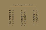 Karl – Cool Sans w Unique Alternates, a Sans Serif Font by Local Desk Designstudio (Thumbnail 4 of 28)