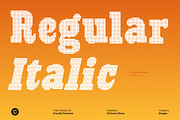 CS Areno Disco, a Slab Serif Font by Craft Supply Co. (Thumbnail 4 of 8)