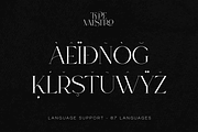 SALE! Type Maestro -  serif font, a Serif Font by VP Fonts (Thumbnail 13 of 25)