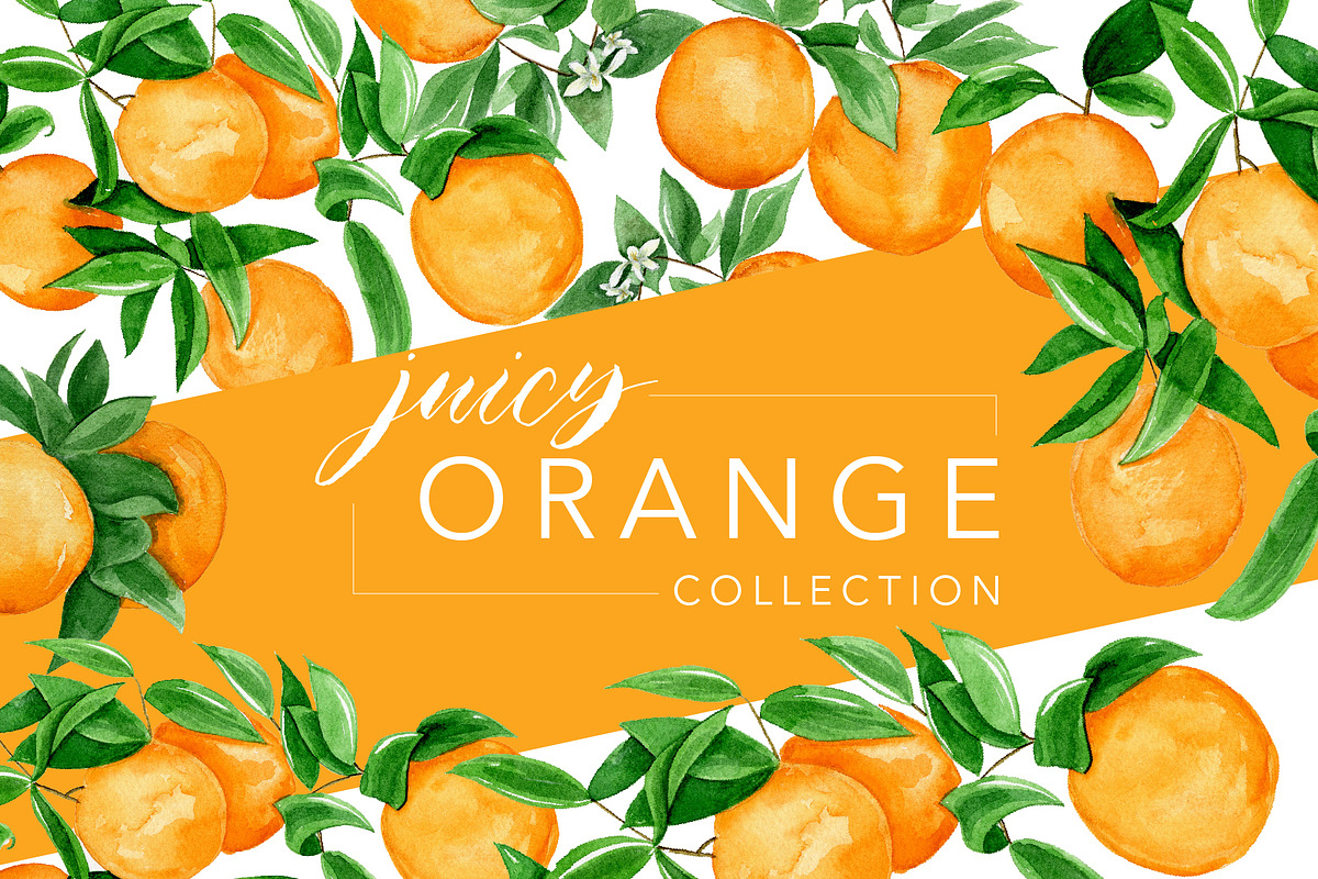 Juicy Watercolor Orange Collection, an Illustration by One and Only Paper (Photo 1 of 8)