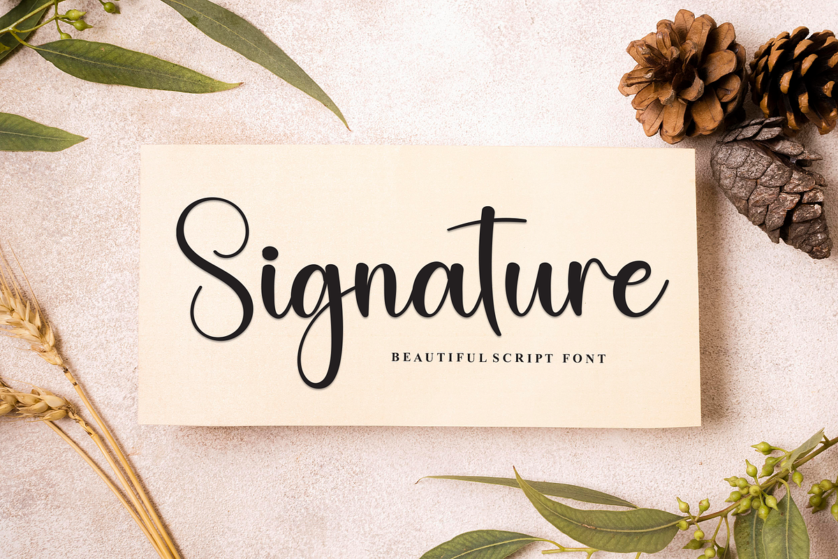 Value | Script Font, a Handwritten Font by Scratchones (Photo 5 of 9)