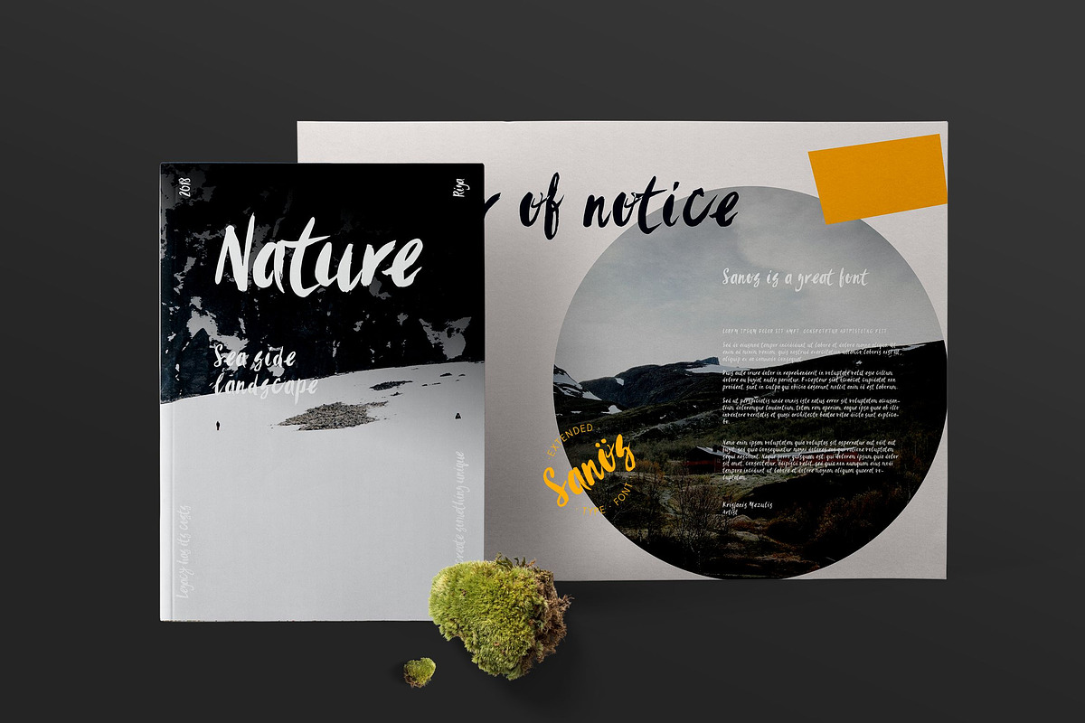Sanös Extended Script Font preview 6