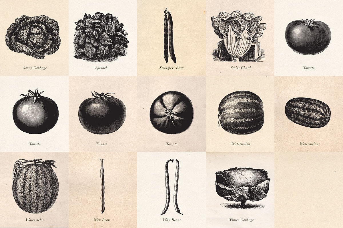 Vintage Fruit Vegetables & Flowers, an Object Graphic by Eclectic Anthology (Photo 7 of 11)