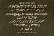 Carvent Neutral Vintage Font Trio, a Script Font by Letterhend Studio (Thumbnail 5 of 10)