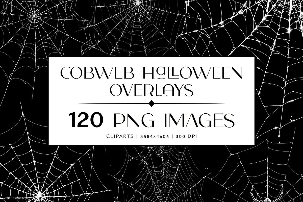 120 Spider Web PNG Digital Download, an Object Graphic by Gonez Studio (Photo 1 of 5)