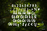 Forest Tales Type, a Script Font by MeHi (Thumbnail 4 of 4)