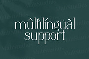 Anbittah Serif Fonts, a Serif Font by mahstudios (Thumbnail 10 of 13)