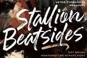 Stallion Beatsides - Dry Brush Font, a Handwritten Font by VASTARD STUDIO (Thumbnail 1 of 12)