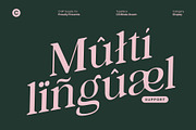 CS Bliska Drawn, a Serif Font by Craft Supply Co. (Thumbnail 5 of 8)